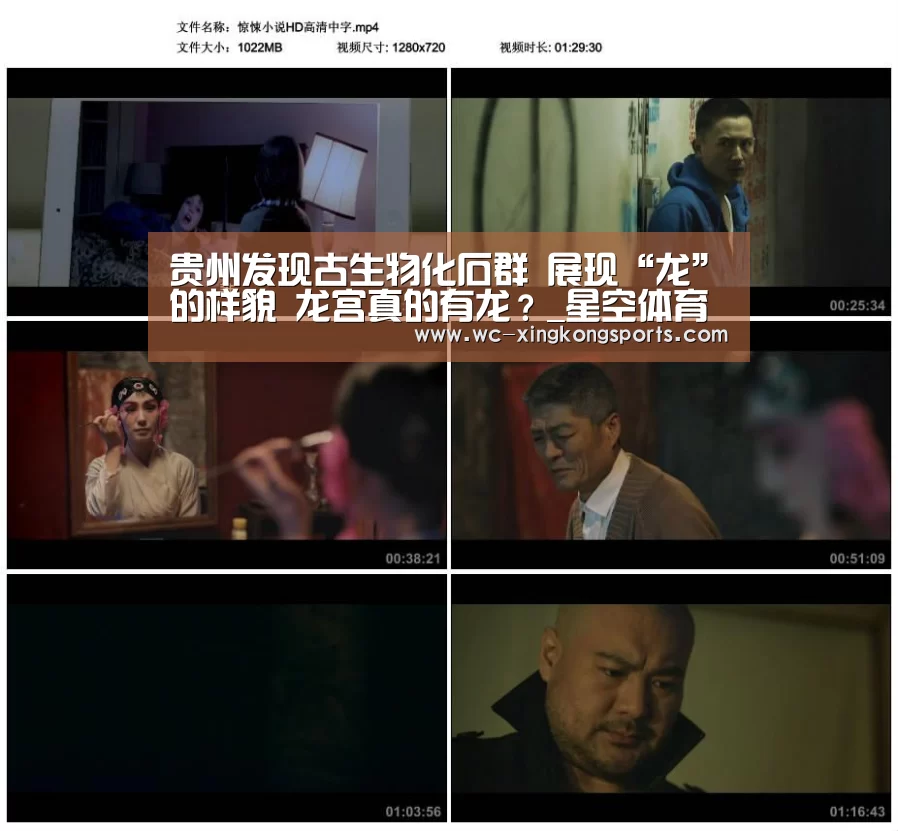 星空体育下载