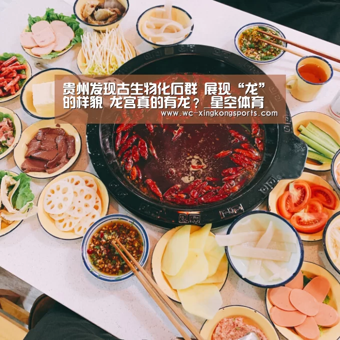 星空体育下载