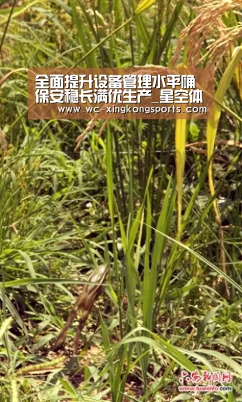 星空体育